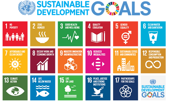 sdg.png