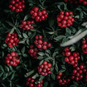 Kokina Yılbaşı Buketi: Yeni Yıla Uğur, Renk ve Şans Getiren Özel Çiçek!