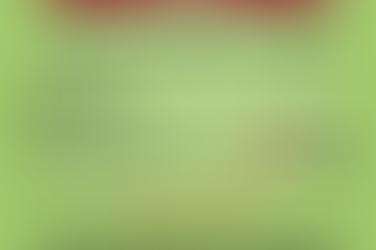 Give The Gift of Life!