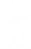 sap.png