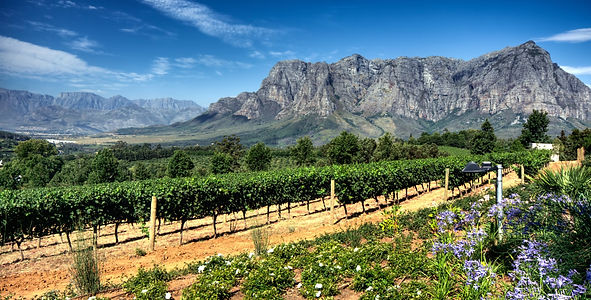 South Africa_edited.jpg