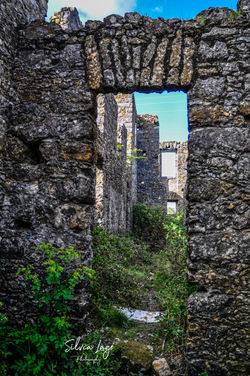 _DSC0151