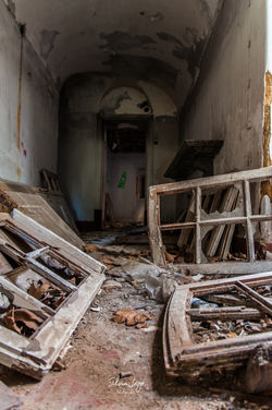 _DSC0039