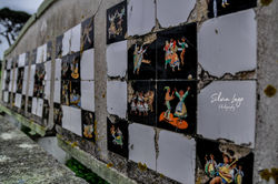 _DSC0065
