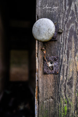 _DSC0639