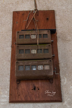 _DSC0265