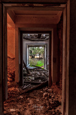_DSC0041