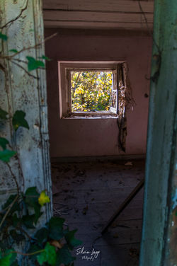 _DSC0437