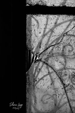 _DSC0660_B&W