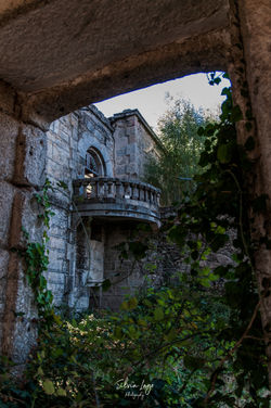 _DSC0096
