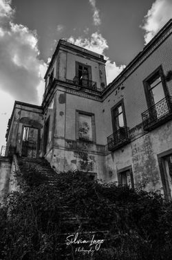 _DSC0311_B&W