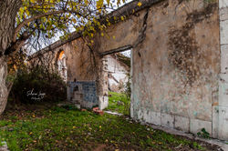 _DSC0049