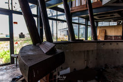 _DSC0197