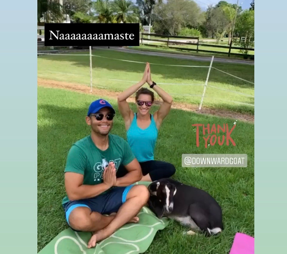 Yoga with Little Goats - Broward - 10:30