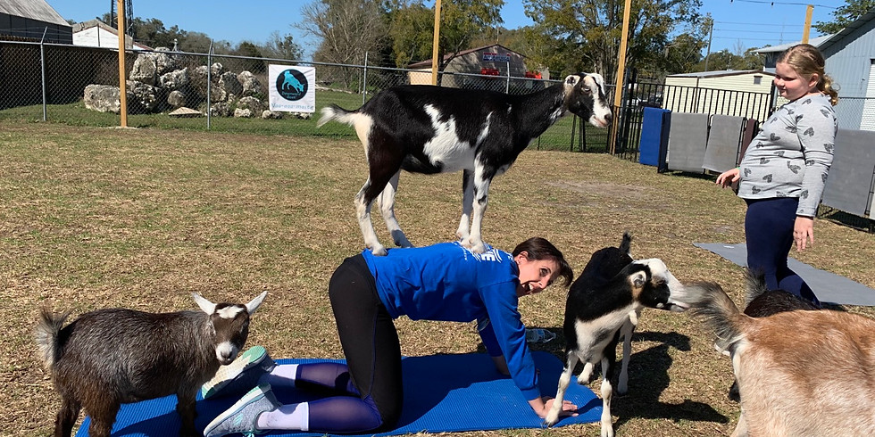 Yoga with Little Goats - You Farm - POSTPONED