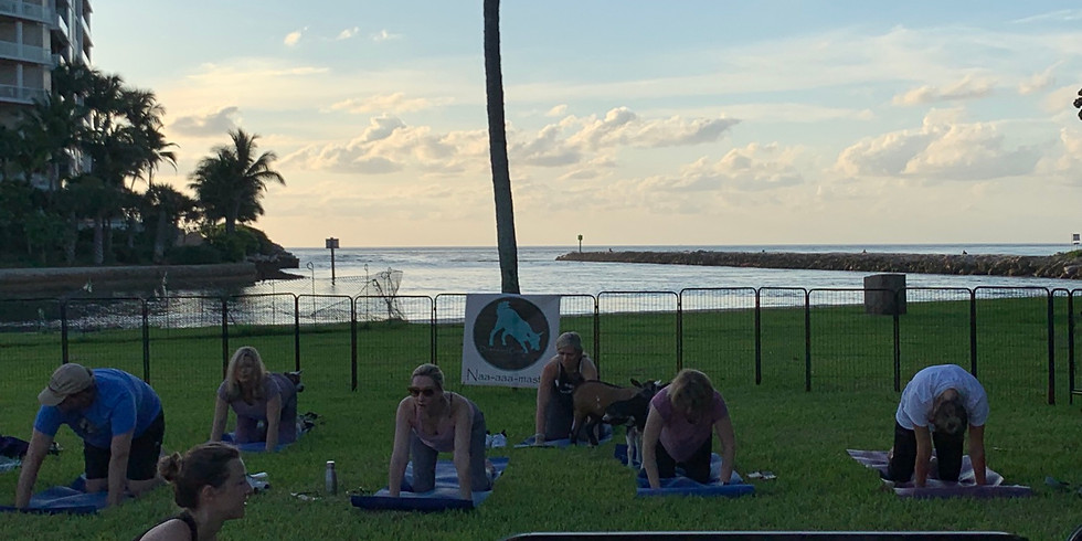 Yoga With Little Goats - on the water - SOLD OUT