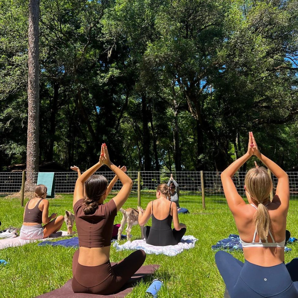 Area 95 Farms yoga with little goats