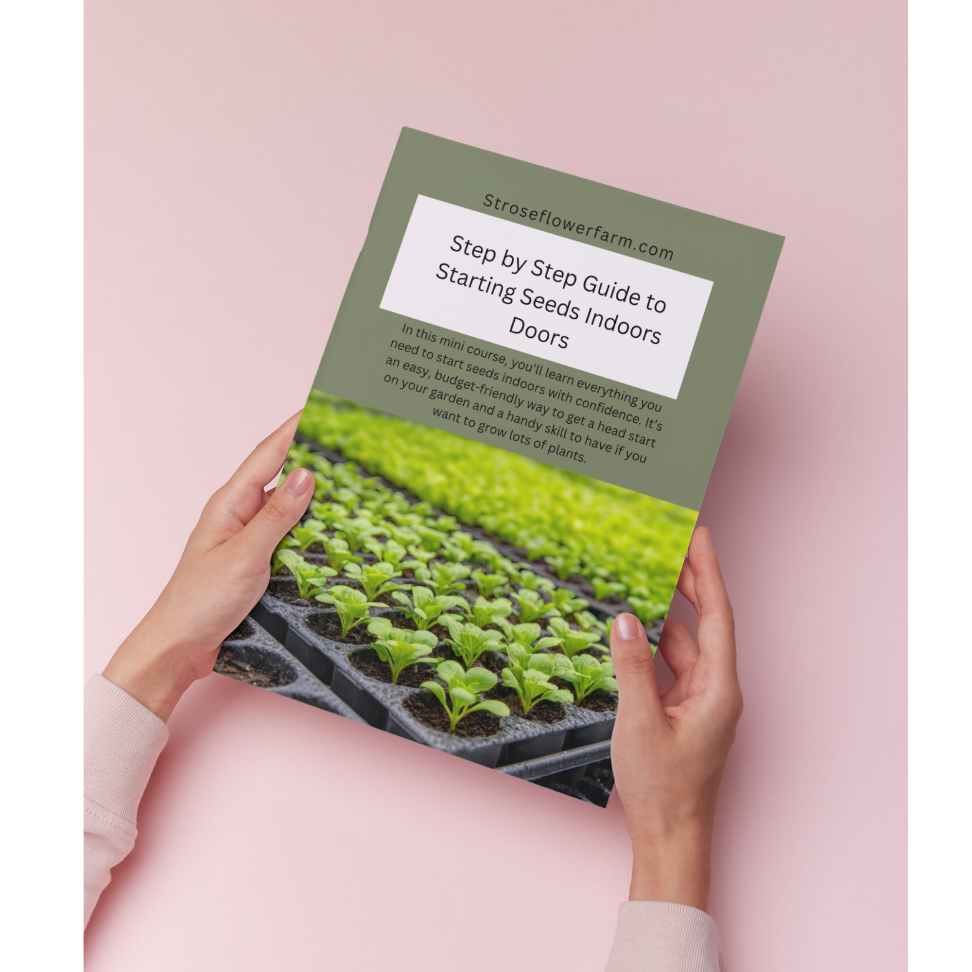 How To Start Seeds Indoors