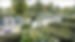 Hail Weston Village Gardening Group