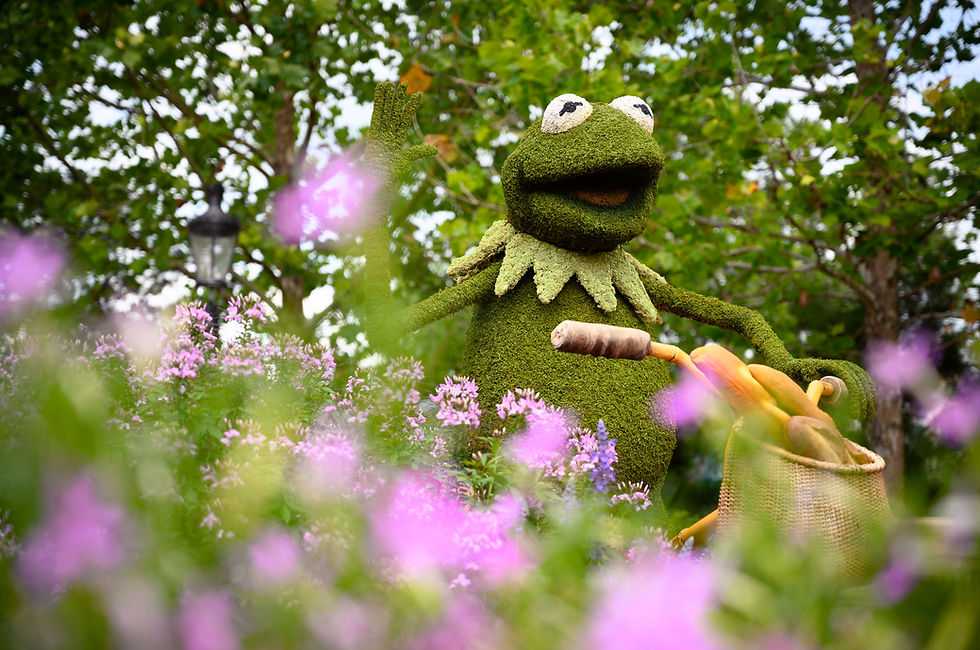 EPCOT Flower & Garden Festival creative theme park photography