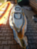 _copie-0_DSCN9484.jpg