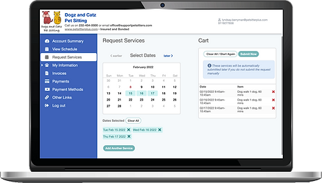 Requesting services in the client portal