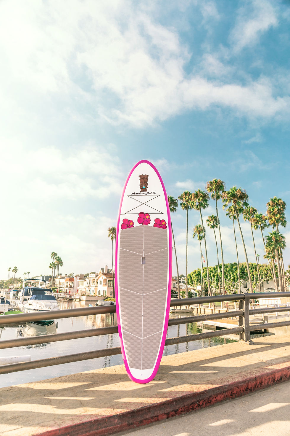 Thumbnail: Surfer Chick