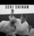 Seki Shihan AGO.jpeg