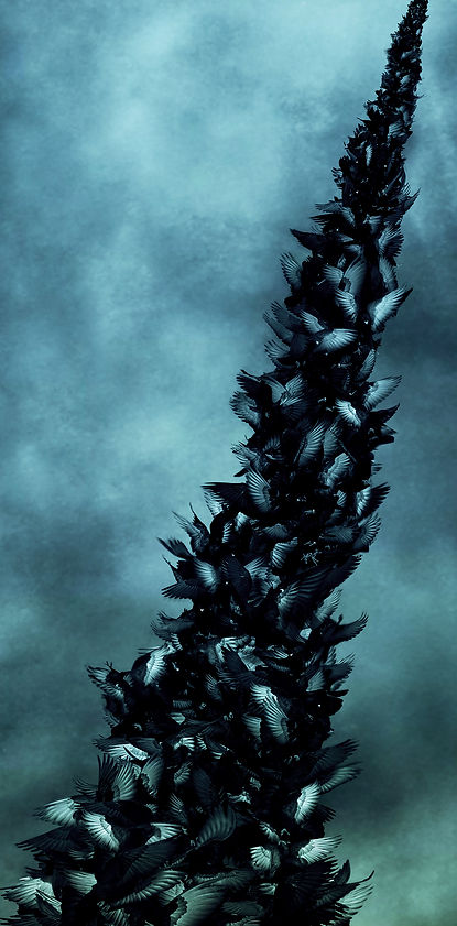 אריאל הכהן, חילוף משמרות, 2024.jpg