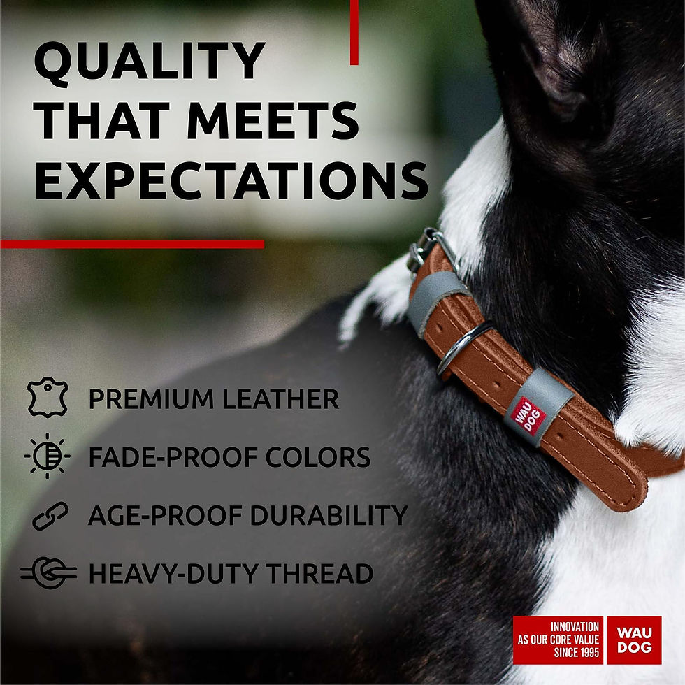 Thumbnail: Brown Long Lasting Leather Dog Collar for Small Dogs Adjustable 1114 in Neck