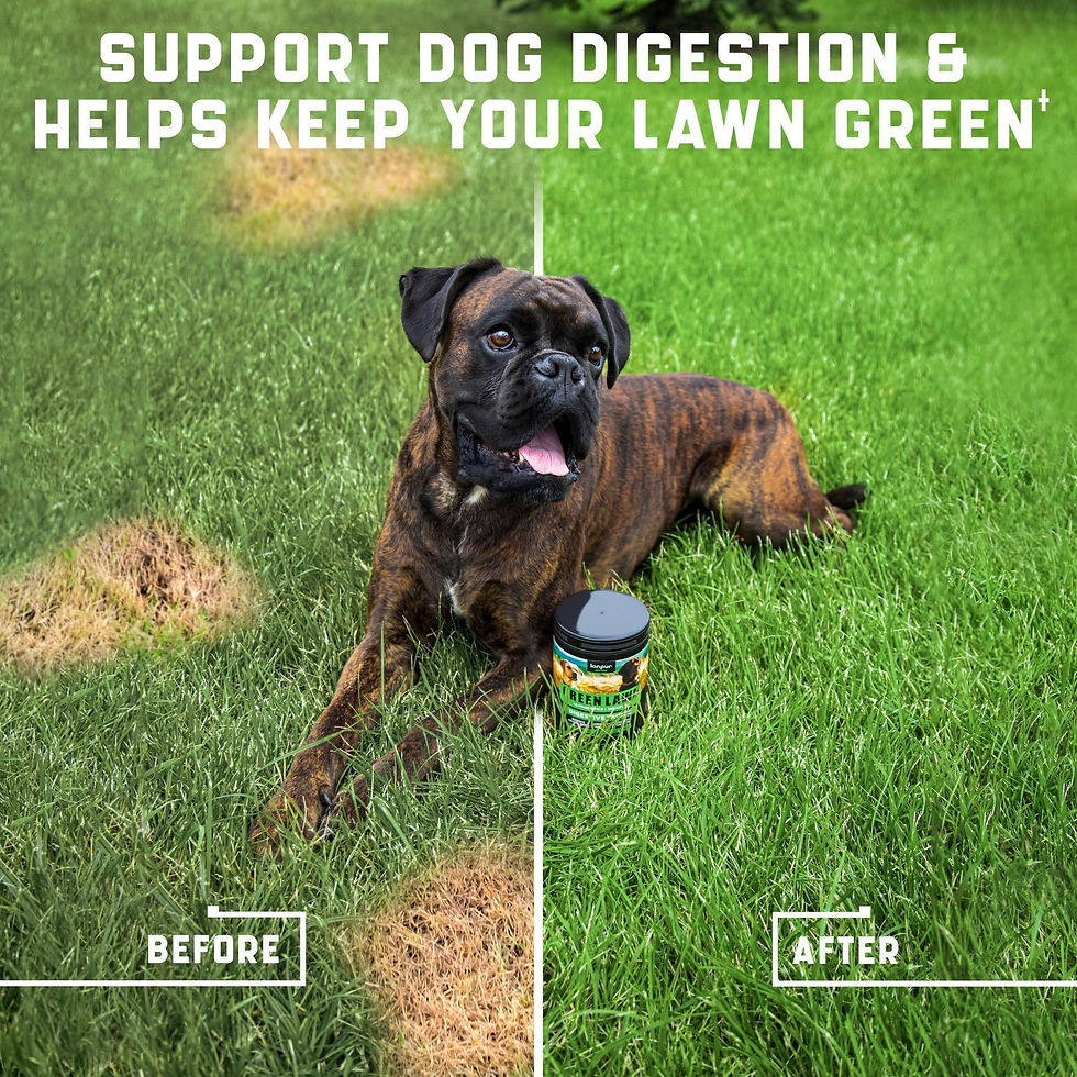 Thumbnail: Green Lawn Chews for Dogs   Cranberry ACV Digestive Enzymes   Natural Dog Urine