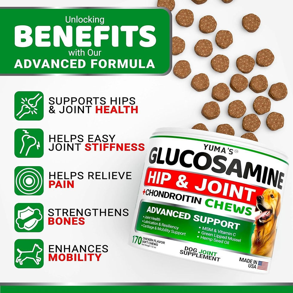 Thumbnail: 2 Pack Glucosamine for Dogs with Chondroitin Joint Pain Relief Made in USA