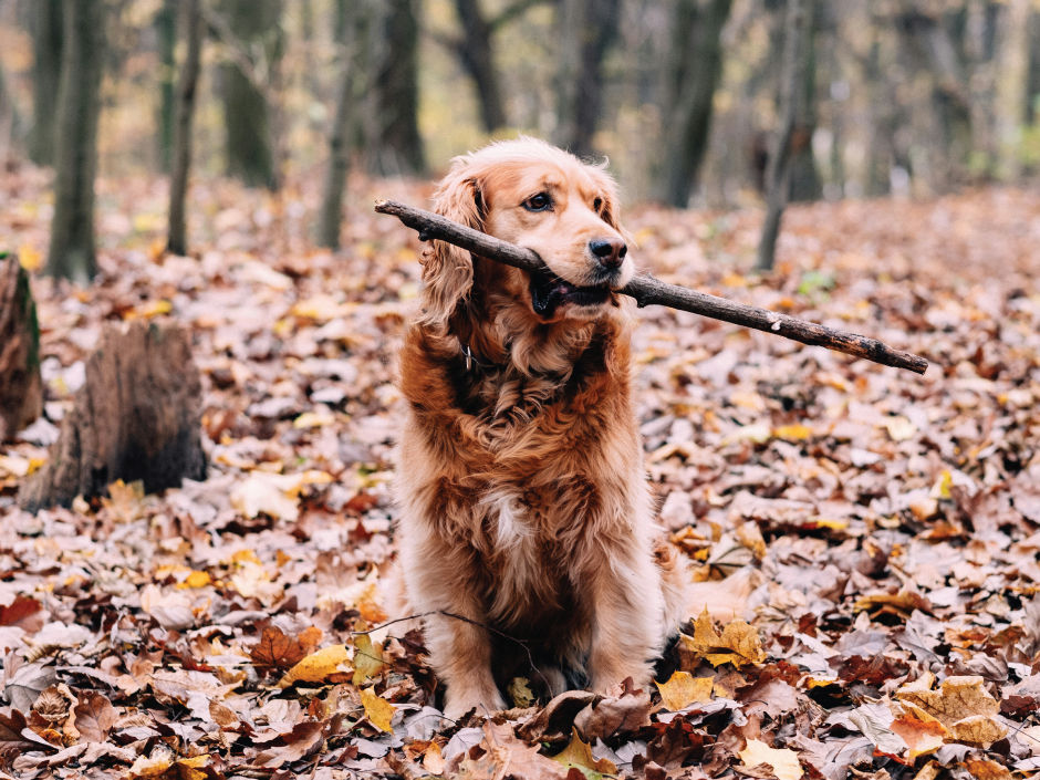 Photo credit: freestocks on Unsplash