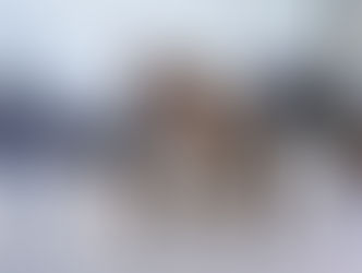 4 puppies, vaccine schedule