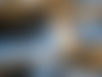 Dog in grass and snow healing allergies in the off-season