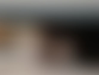 Dog hiding under bed: Thunder & Fireworks Noise Sensitivity