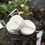 Thumbnail: Rose Geranium Shampoo Bar