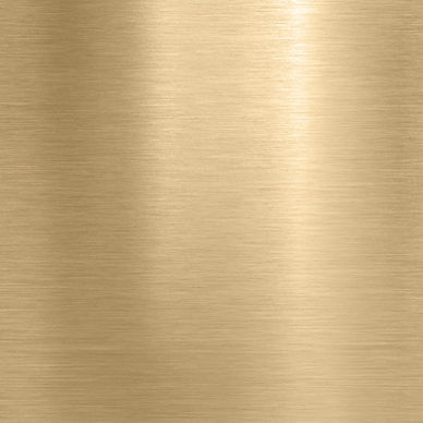 21at50 Steel_Tan.jpeg