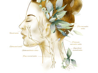 Your Lymphatic System & Skin