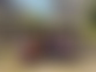 卒業式と役職満了—3月に二つの節目を迎えて