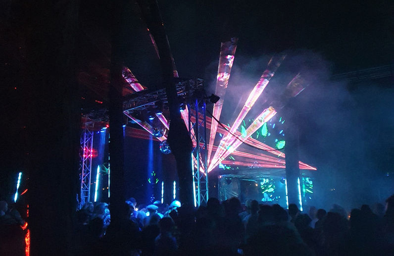 Pink laser tubes in a forest