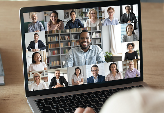 CDMSI-BU online meeting.png