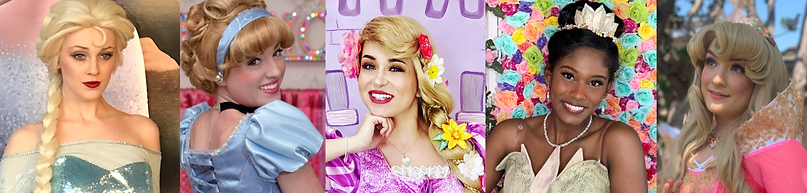 Princess Banner