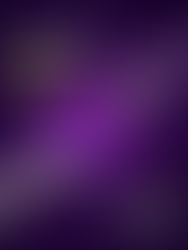 Branding + Ads Performance: The Secret Formula for Long-Term Sales Growth