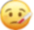 Asset 23_2x.webp