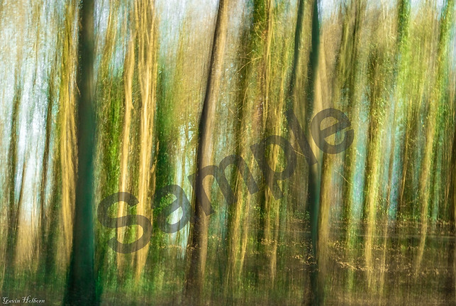 WhatsApp Image 2023-05-21 at 10.21_edite