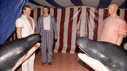 _Whale Circus _ #USA 5