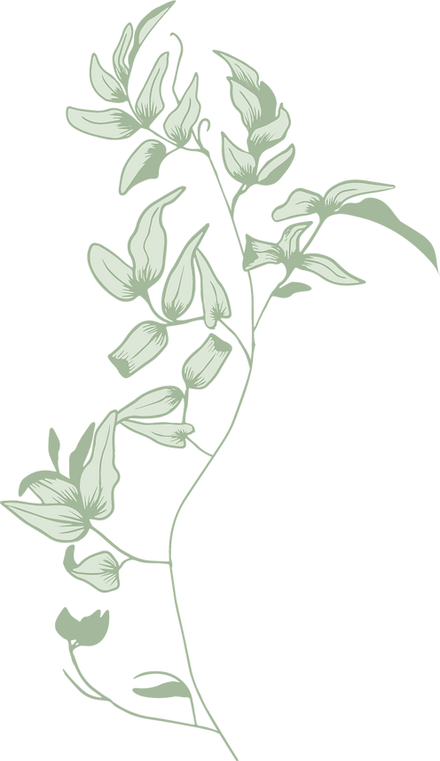 Illustrations (6)_edited_edited.png