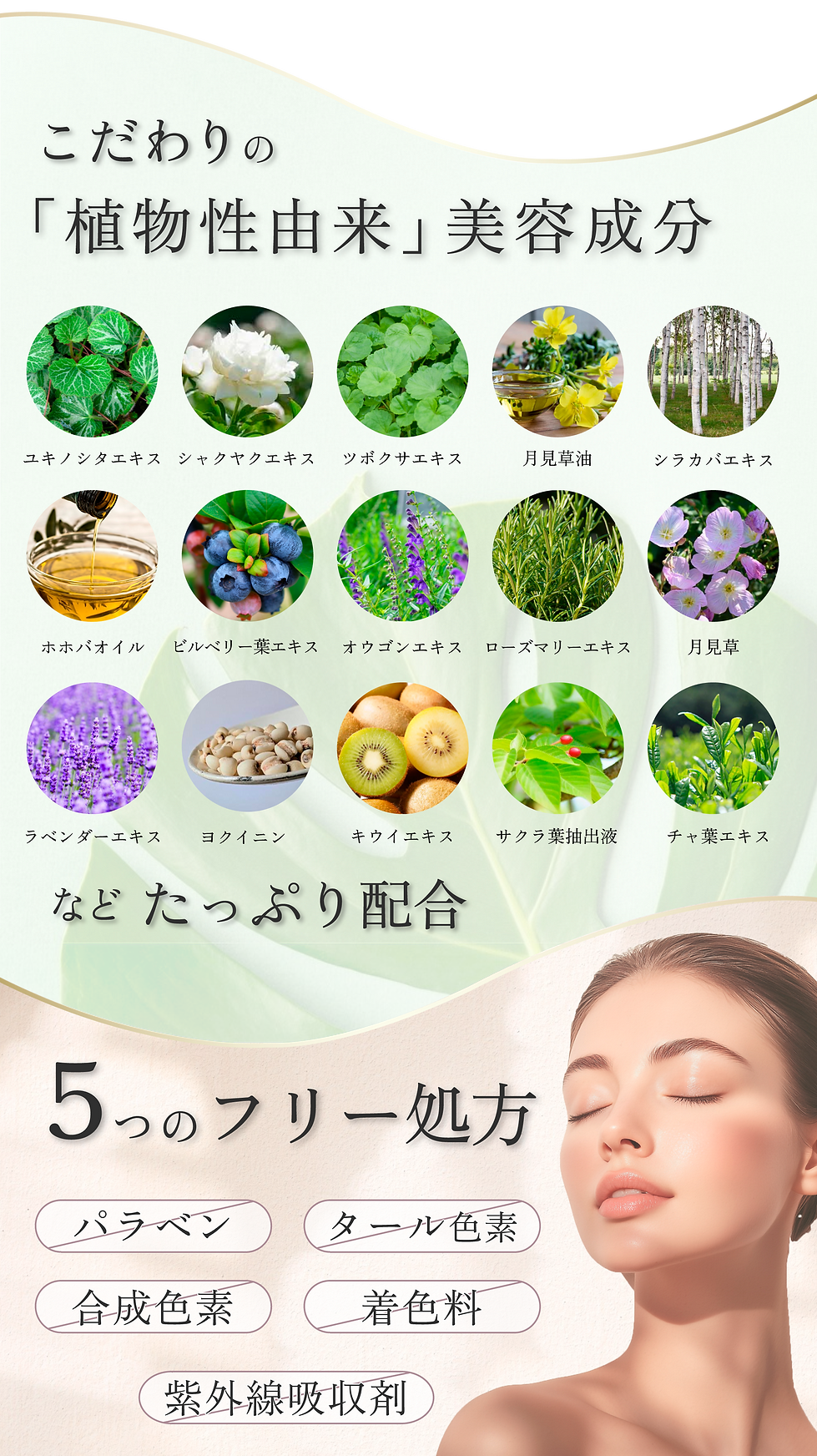 成分02.png