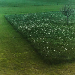 quadratisch, praktisch, gut